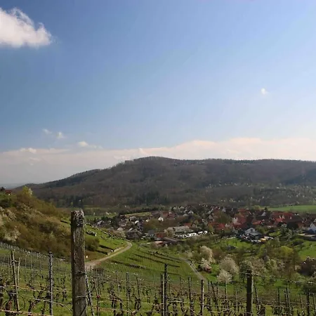 Froehlich Wohnen In Froelich 公寓 萨森海姆