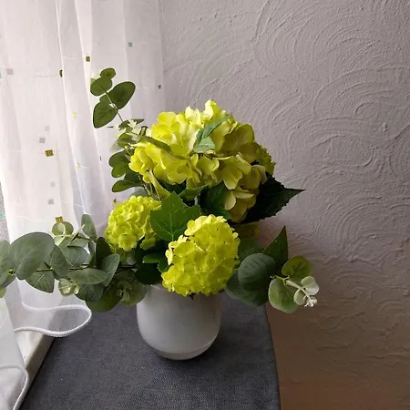 Froehlich Wohnen In Froelich